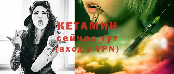 индика Ельня