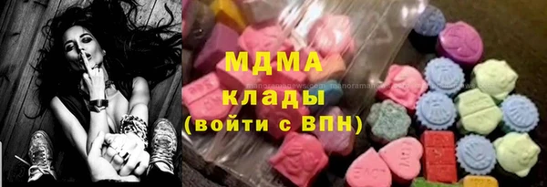 индика Ельня