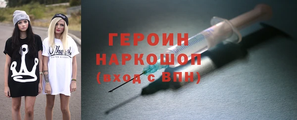 индика Ельня