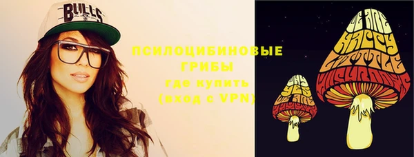 гашик Елизово