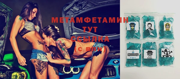 индика Ельня