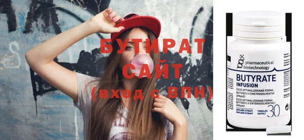 индика Ельня