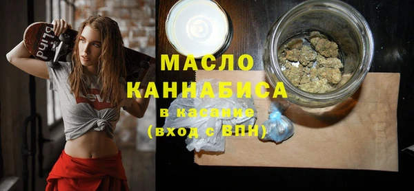 индика Ельня