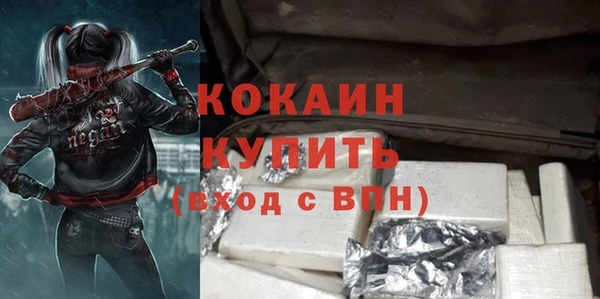 индика Ельня