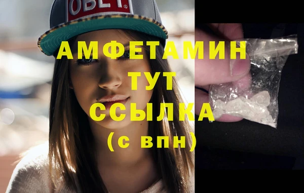гашик Елизово