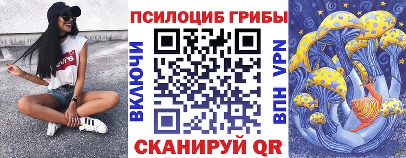 MEGA вход  купить наркотик  Орск  Галлюциногенные грибы Psilocybe 